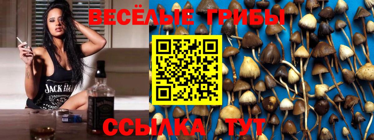 хочу   Вход с VPN  Рязань  Галлюциногенные грибы прущие грибы  Псилоцибиновые грибы MAGIC MUSHROOMS 